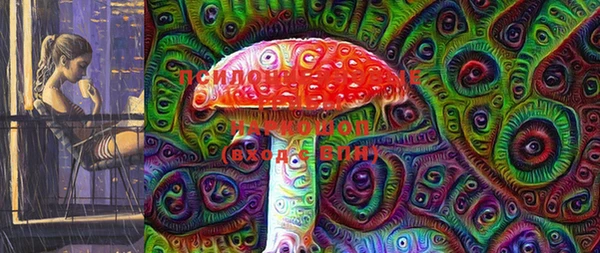круглые Аркадак